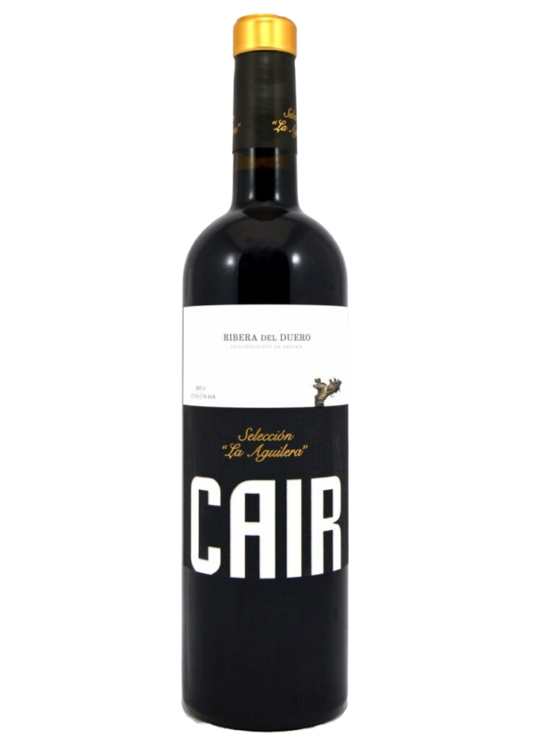 Cair Seleccion De La Aguilera 2020